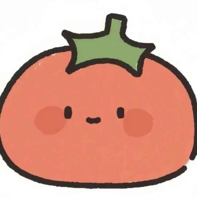 小星火测试